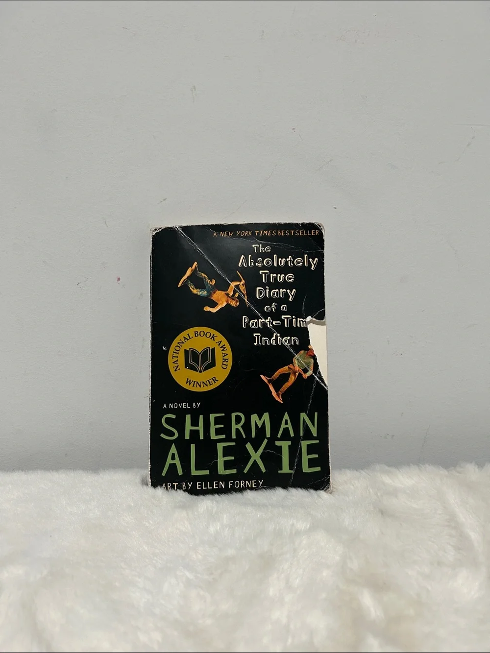 Sherman Alexie The Absolutely True Diary of a Part-Time Indian - Black Cover